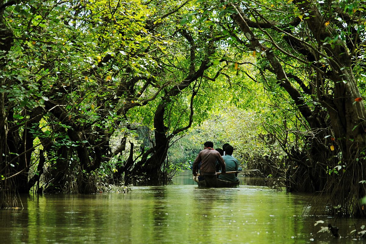 রাতারগুল জলাবন