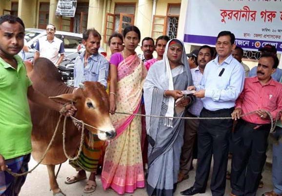 প্রধানমন্ত্রীকে এসএমএস করে কোরবানির গরু পেল হিজড়া সম্প্রদায়