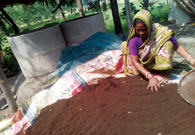 সাশ্রয়ী পদ্ধতিতে সার ব্যবহার