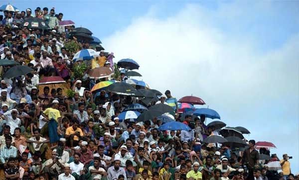 রোহিঙ্গাদের যত অপকর্ম